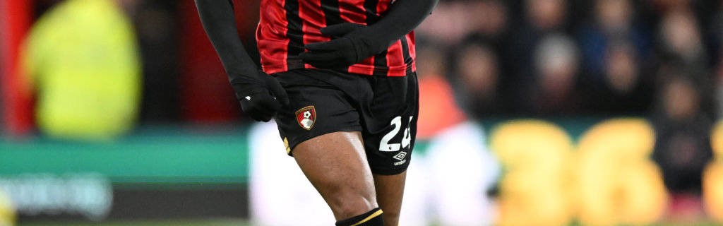 塞梅尼奥以6400万英镑转会曼城：伯恩茅斯的告别与未来展望