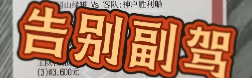 德甲：云达不来梅VS霍芬海姆，专家最新推荐比分预测